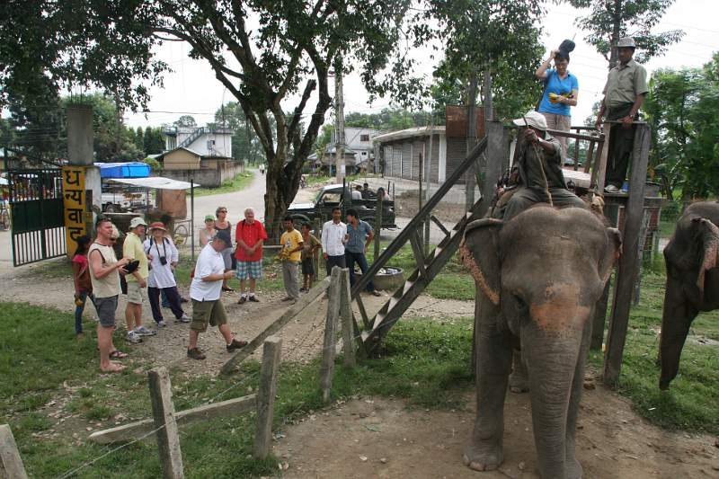 India & Nepal 2011 - 0538